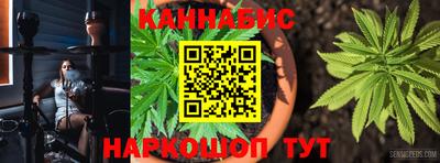 индика Комсомольск-на-Амуре