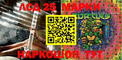 индика Комсомольск-на-Амуре