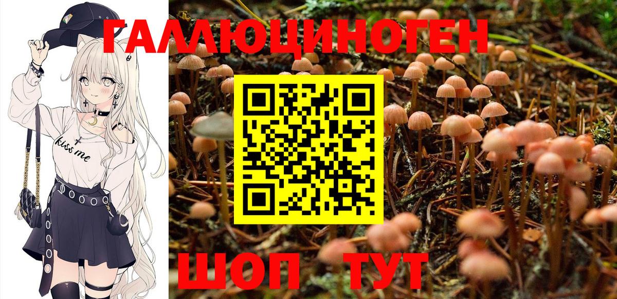 Галлюциногенные грибы прущие грибы Клин