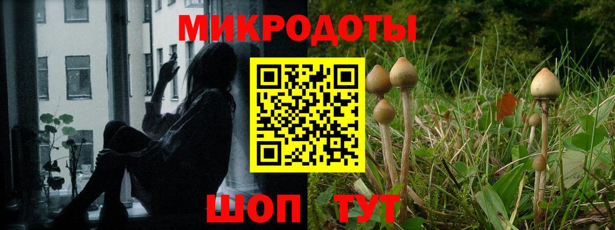 Псилоцибиновые грибы мухоморы  Вход с VPN  Клин 